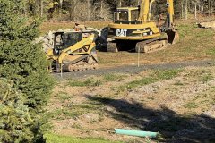 Photo-Nov-01-3-55-40-PM