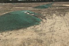 Photo-Apr-17-2-54-27-PM