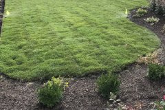 Photo-Aug-15-3-35-17-PM