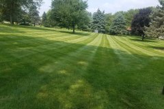 Photo-Aug-16-12-06-25-PM