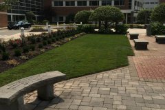 Photo-Aug-16-1-58-43-PM-1