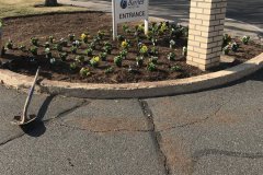 Photo-Mar-30-4-41-18-PM