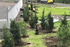 Photo-May-16-3-05-59-PM