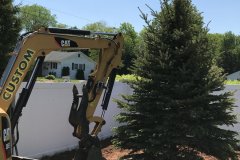 Photo-May-18-11-16-47-AM