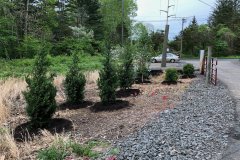 Photo-May-18-6-25-15-PM