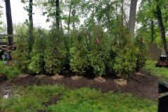 Photo-May-19-2-30-35-PM