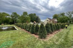 Photo-May-28-3-51-11-PM