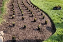 Photo-May-29-6-39-29-PM