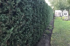 Photo-Oct-17-5-04-23-PM