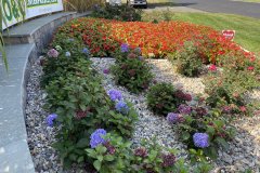 Photo-Sep-08-11-19-43-AM