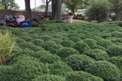 Photo-Sep-17-8-54-58-PM