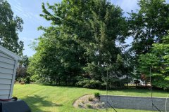 Photo-Jun-08-8-05-45-AM