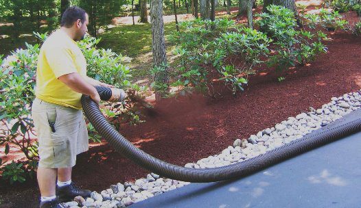 Adding seasonal mulch, mulching