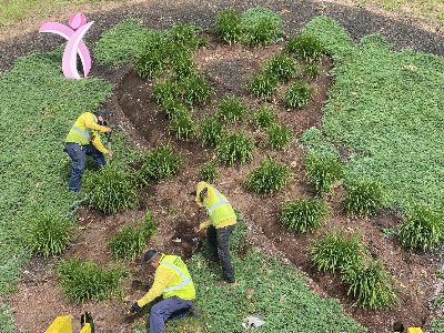 11898538_878724368887845_811333322706507832_n7