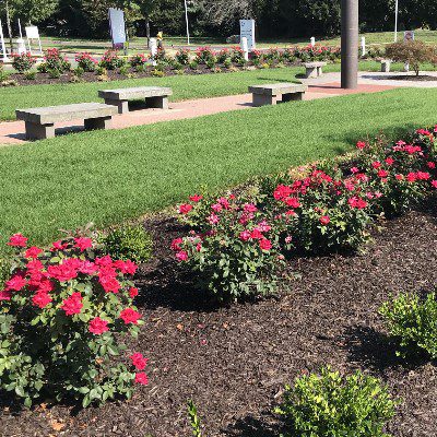 commercial-customflowers-benches-sidewalks002
