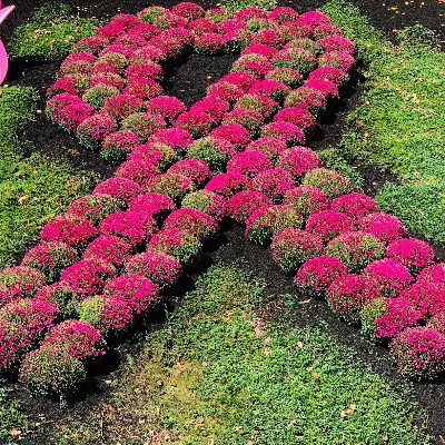 commercial-customflowers001