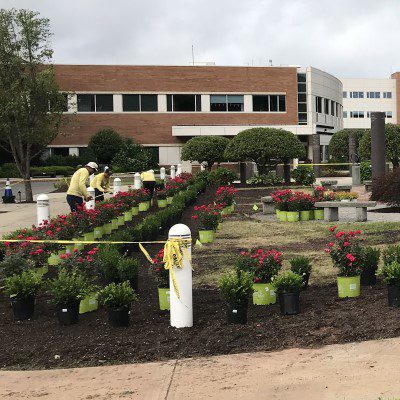 commercial-customflowers004