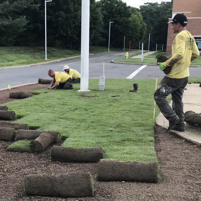 commercial-sodinstallation001