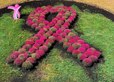 Breast Cancer Awareness flowerbed in Meriden CT